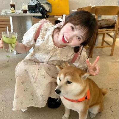 美人心封面