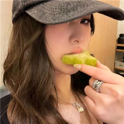 精灵高中之纽约封面